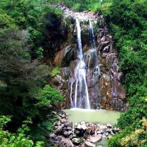 Mengunjungi Kebun Teh Sirah Kencong di Blitar, Perkebunan Kelas Dunia dengan Pemandangan Indah dan Udara Segar