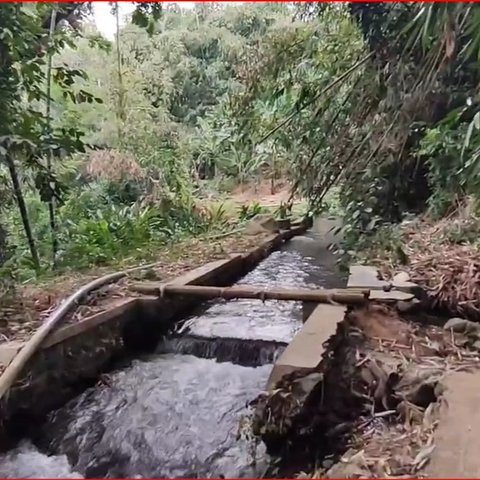 Melihat Saluran Air Peninggalan Belanda Tersembunyi di Tengah Hutan Kendal, Dibangun di Bawah Kuburan