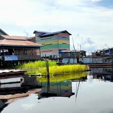 Melihat Uniknya Desa Tanpa Daratan Muara Enggelam di Kukar, Ada Sawah Terapung