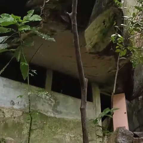 Sejak Kecil, Pemuda Ini Tinggal di Gua Tengah Hutan 'Nyaman Jauh dari Masalah'