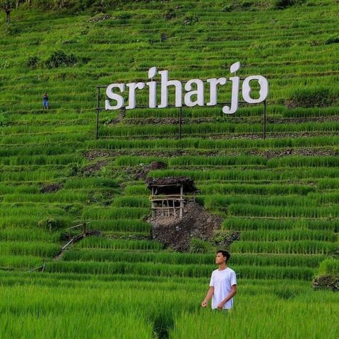 Menjelajahi Desa Wisata Srikeminut di Bantul, Punya Potensi Pemandangan Alam Perbukitan hingga Wisata Sungai