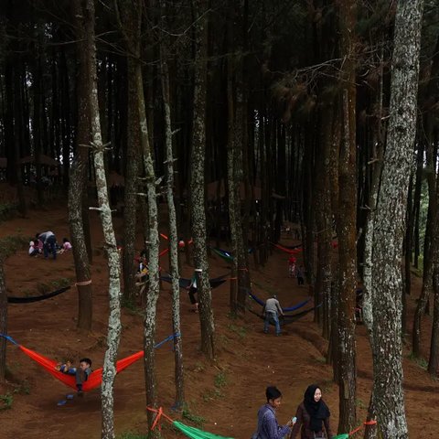 Riwayat Gunung Burangrang, Tercipta dari Letusan Gunung Purba Bandung hingga Mitos Segitiga Misterius