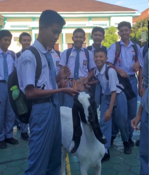 Ingat Romsi Siswa SMA Jalan Kaki Dibelikan Sepeda Teman-Teman Satu Kelas? Kini Dapat Kejutan Diberi Kambing di Sekolah