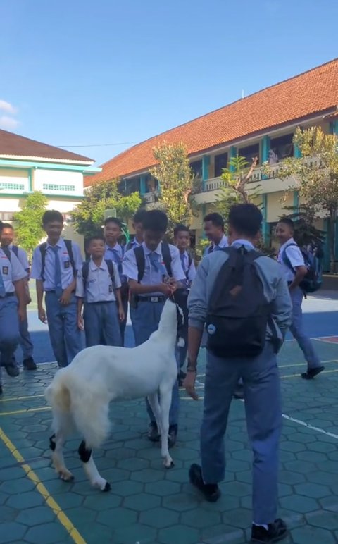 Kisah Romsi, Siswa SMA di Kebumen Dapat Sepeda dari Teman-temannya kini Dapat Hadiah Kambing dari Warganet