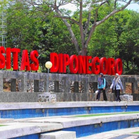 Dekan FK Undip Diberhentikan Terkait Kasus Meninggalnya Dokter Risma, Ini 4 Fakta di Baliknya