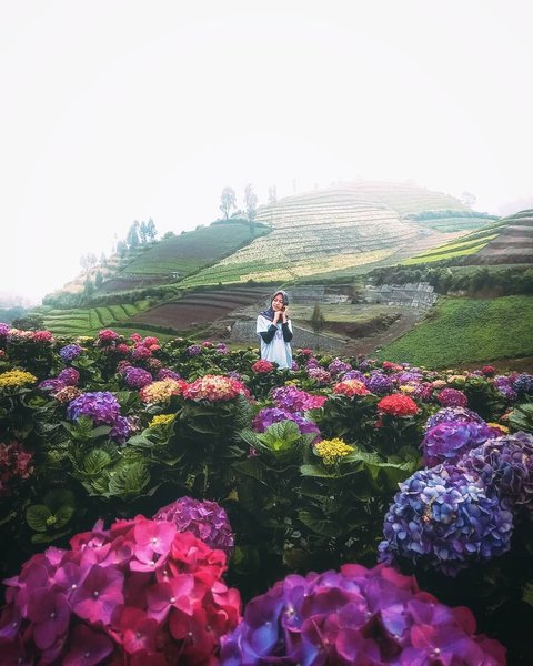 6 Wisata Alam Terbaik di Kota Batu Bikin Healing Maksimal dengan Budget Murah Meriah