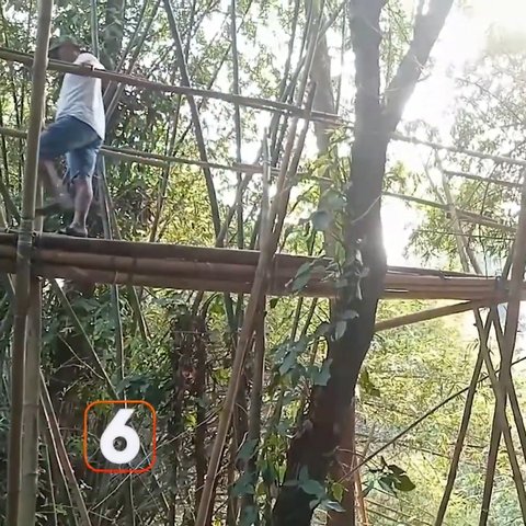 Bertaruh Nyawa, Potret Warga Cikeusal Serang Gunakan Jembatan Bambu Rapuh untuk Seberangi Sungai Ini Memprihatinkan