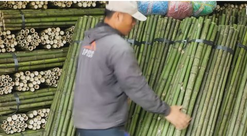 Tinggalkan Kota Demi Meneruskan Pekerjaan Ortu, Pemuda Ini Kembangkan Petani Bambu Cendani Untuk Memajukan Perekonomian Desa