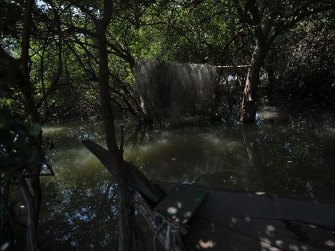 FOTO: Jejak Kehidupan di Pantai Muara Beting yang Tergerus Abrasi