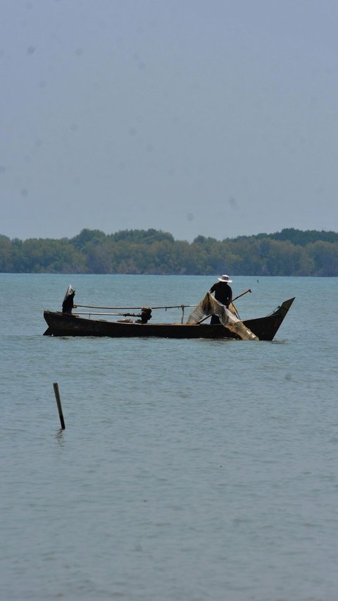 Seorang nelayan mencari ikan di kawsan Pantai Muara Beting yang tergerus abrasi. Foto: Merdeka.com/Imam Buhori