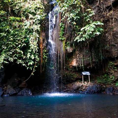 Pesona Curug Cikotak Padarincang, Sekeping Surga dari Tengah Hutan Serang