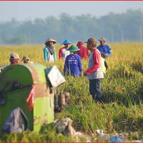 Prihatin dengan Pertanian di Tanah Air, Pria Brebes Ini Rela Pulang ke Indonesia Setelah 6 Tahun Kerja di Jepang