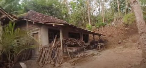 Dulu Kaya Raya Waktu jadi Istri Lurah, Sosok Wanita Paruh Baya Kini Depresi Pilih Hidup dan Tinggal di Tengah Hutan