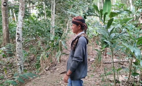 Cerita Dalang di Tasik Pilih Tinggal Menyepi di Tengah Hutan, Hidup Bersama Wayang