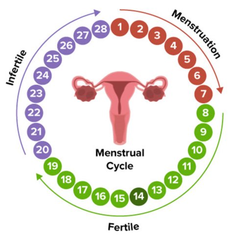 Mengenal Ragam KB bagi Wanita, Dari Hormonal hingga Non-Hormonal