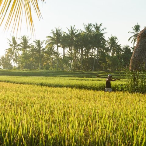 3 Fakta Menarik Jatim Gerbang Nusantara Baru, Pusat Industri Modern hingga Penghasil Padi dan Susu Terbesar di Indonesia