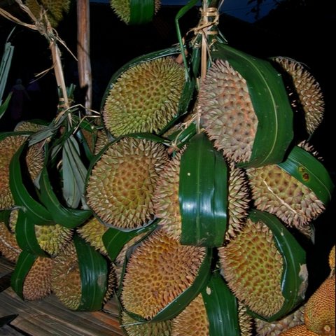 Jakarta Punya Julukan Internasional “Big Durian”, Ini Cerita di Baliknya