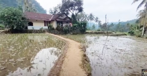 Pria Lanjut Usia Hidup Damai di Tengah Sawah Bareng Istri Muda, Rumahnya Luas dan Bersih