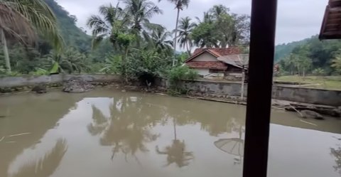 Pria Lanjut Usia Hidup Damai di Tengah Sawah Bareng Istri Muda, Rumahnya Luas dan Bersih