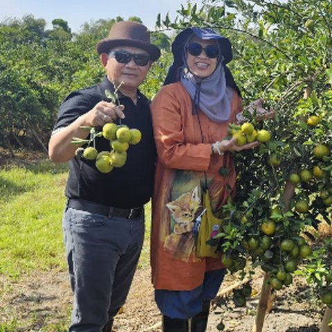 Wajah Ceria Eks Kasad Bareng Istri Tercinta Panen Jeruk, Makin Semangat Berkebun Bawa Kebahagian