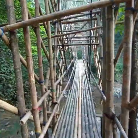 Menilik Suasana Pagi di Kampung Baduy, Pemandangan Jalan Setapak di Hutan Indah Banget