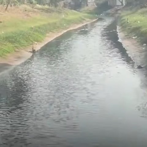 Pilu Warga Karawang Tak Bisa Mandi hingga Cuci Beras karena Air Bendungan Tercemar Limbah, Warna Berubah Hitam Pekat dan Berbau