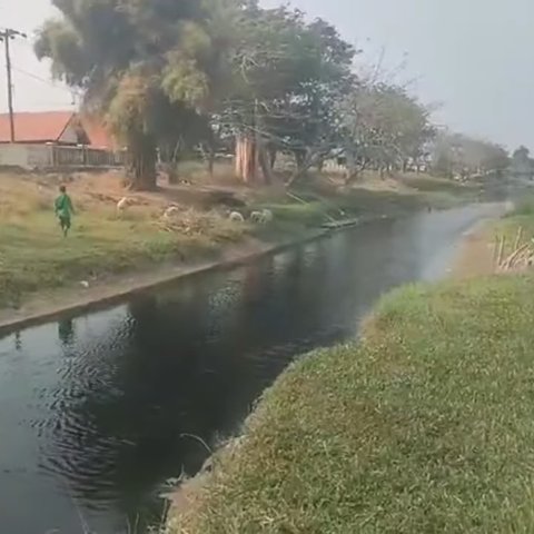 Pilu Warga Karawang Tak Bisa Mandi hingga Cuci Beras karena Air Bendungan Tercemar Limbah, Warna Berubah Hitam Pekat dan Berbau