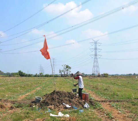 FOTO: Bekasi Mengering, Petani Menjerit Harus Gali Sumur Sedalam Dua Meter