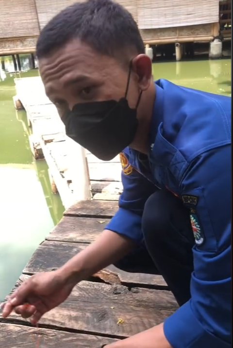 Viral Aksi Damkar Evakuasi Ikan Aligator di Kolam Sekolahan, Curi Perhatian