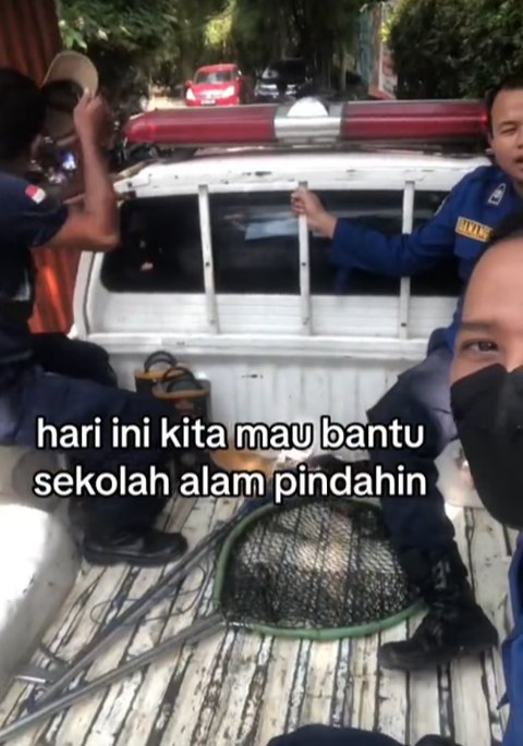 Viral Aksi Damkar Evakuasi Ikan Aligator di Kolam Sekolahan, Curi Perhatian