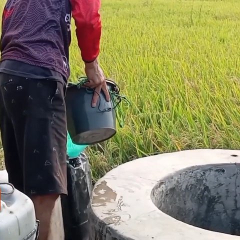 Cerita Sumur Tua Keramat di Tengah Sawah Serang, Tak Pernah Kering Meski Kemarau Ekstrim