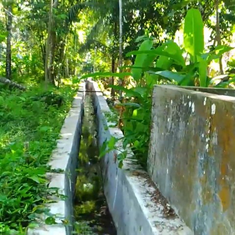 Cerita Turun-temurun Desa Kondangjajar Pangandaran, Warga Tak Boleh Bangun Rumah Berdempetan