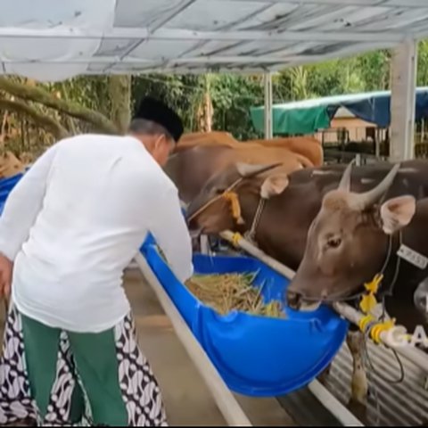 5 Potret Seleb yang Ternyata Punya Usaha Peternakan, Terbaru Tengku Tezi Suami Tyas Mirasih