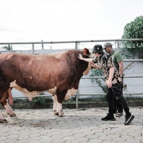 5 Potret Seleb yang Ternyata Punya Usaha Peternakan, Terbaru Tengku Tezi Suami Tyas Mirasih