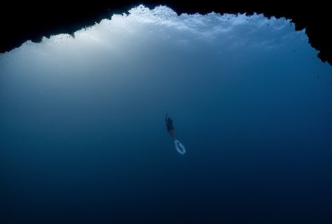 5 Momen Prilly Latuconsina saat Free Diving di Alor, Sempat Kesulitan Naik ke Kapal karena Ada Pusaran Arus Bikin Deg-degan