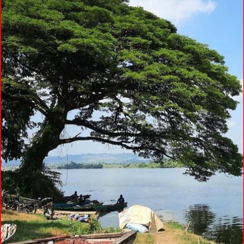 Menikmati Suasana Waduk Pacal di Bojonegoro, Warisan Belanda yang Sarat Nilai Sejarah