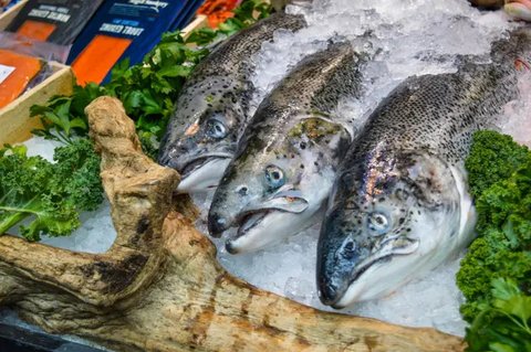 6 Kandungan Kesehatan yang Luar Biasa dari Ikan Jambal untuk Tubuh