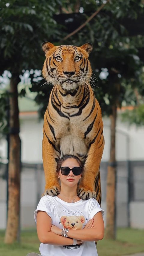 Potret Cantik Abigail Gusmawan Tampil Santai saat Foto Bersama Harimau di Thailand