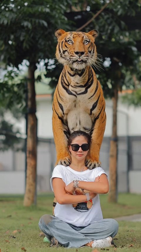 Potret Cantik Abigail Gusmawan Tampil Santai saat Foto Bersama Harimau di Thailand