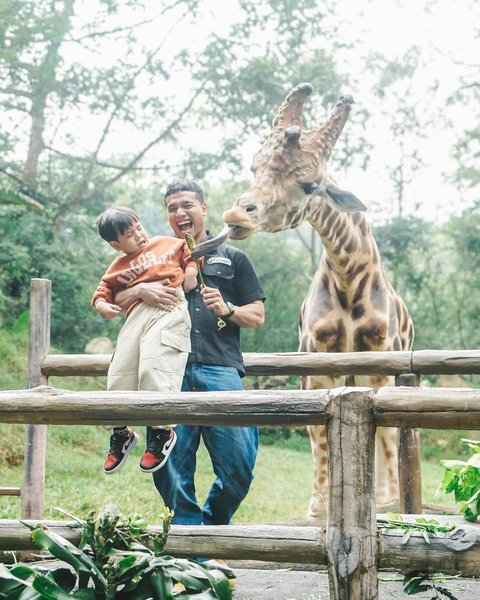 7 Potret Gala Sky Asik Foto Bareng Jerapah di Taman Safari, Tapi Tiba-Tiba Histeris dan Menangis Gara-Gara Ini