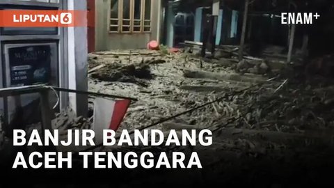 Provinsi di Indonesia dengan Kasus Banjir Terbanyak 2024, Curah Hujan Ekstrem dan Dampak Urbanisasi