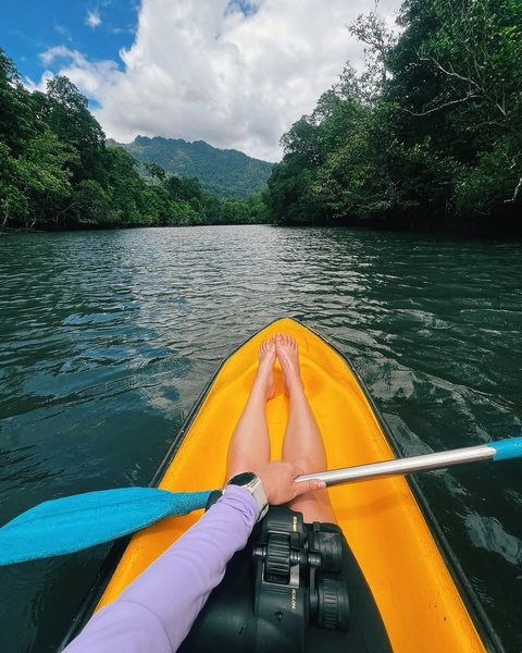 Memukau, Intip Potret Prilly Latuconsina di Hutan Mangrove Kaimana Papua Barat