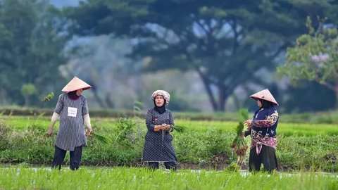 FOTO: Pemerintah Targetkan Produksi Padi Nasional pada 2025 Capai 32 Juta Ton