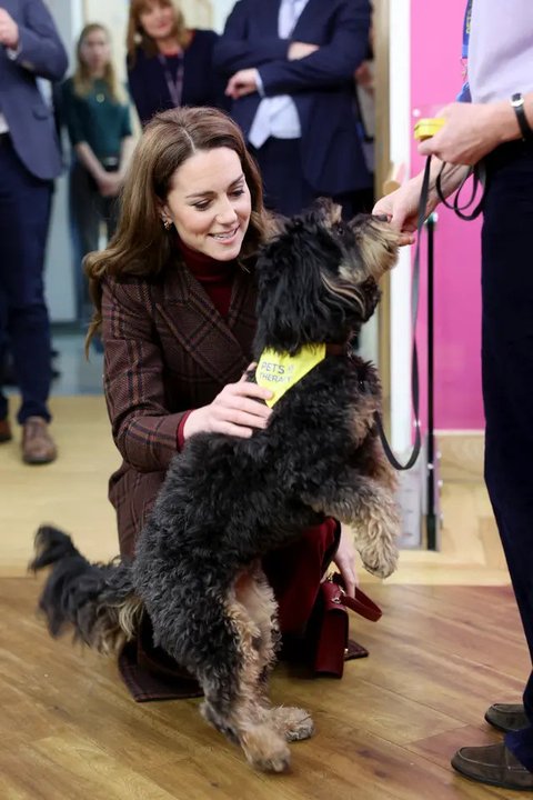 5 Foto Menarik Kate Middleton saat Kunjungi Rumah Sakit untuk Kemoterapi, Termasuk Momen Bersama Anjing Terapi