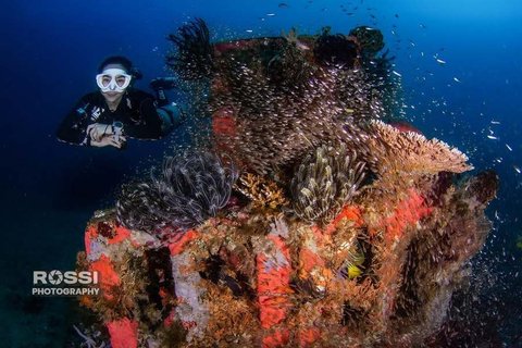 Potret Seru Gisel Diving di Tulamben dan Amed Bali, Nikmati Keindahan Bawah Laut yang Buat Takjub - Ramai Dipuji