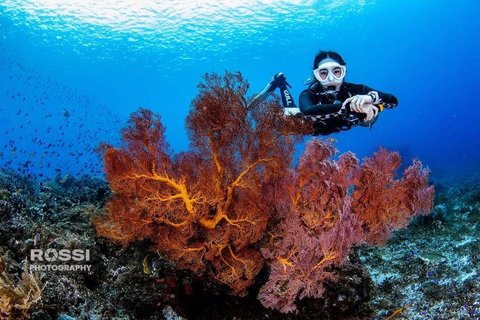 Potret Seru Gisel Diving di Tulamben dan Amed Bali, Nikmati Keindahan Bawah Laut yang Buat Takjub - Ramai Dipuji