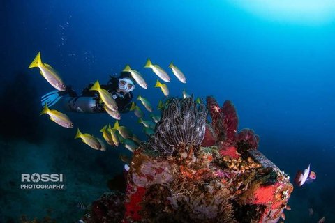 Potret Seru Gisel Diving di Tulamben dan Amed Bali, Nikmati Keindahan Bawah Laut yang Buat Takjub - Ramai Dipuji