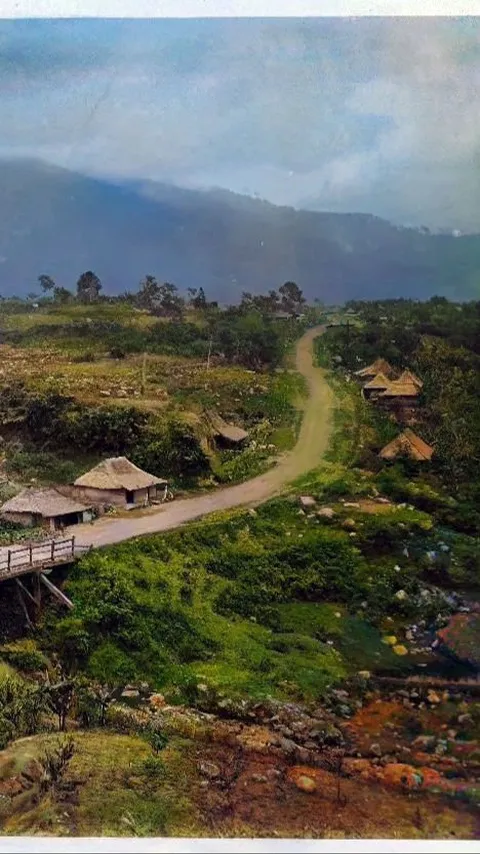 Potret Jalan Raya Puncak Bogor Zaman Dulu, Masih Tanah & Hutan Hanya Dilalui Delman
