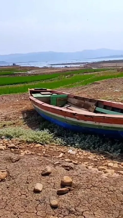 Waduk Jatigede yang Surut karena Kemarau Kini Tampak Menghijau, Intip Penampakannya