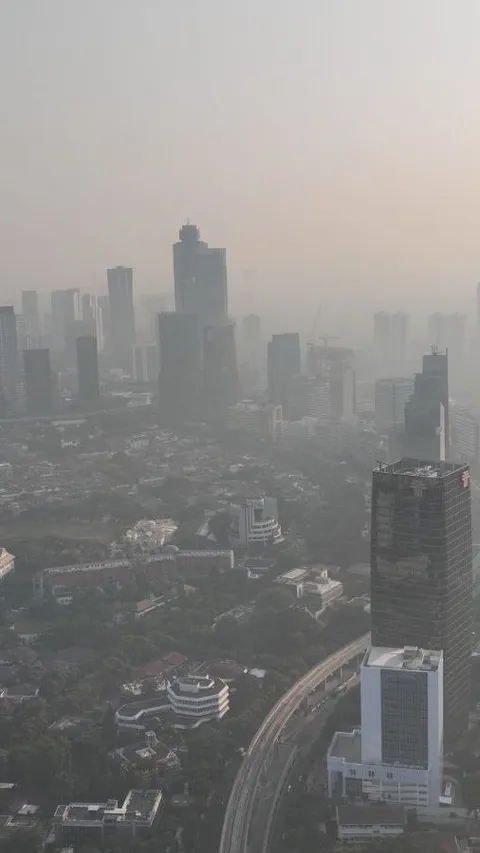 1.000 Pohon Mangrove Ditanam untuk Menangkal Polusi di Jakarta